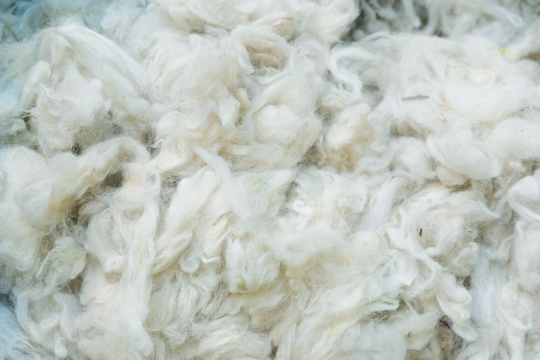 Merino Wool текстура